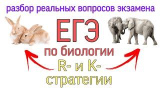 К- и r-стратегии для ЕГЭ по биологии. Разбор реальных вопросов экзамена. Запоминаем и осмысляем