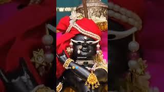  Peyara Radharaman Lal Ji, Vrindavan 🫶🪷 ||  Radha 4k Full Screen Whatsapp Status Video ||