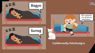 Cat Memes by Rdm Designs | Cat Lovers Philippines | Cute Cats Compilations