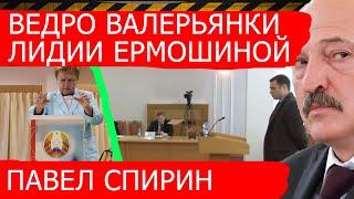 Павел Спирин приготовил ведро валерьянки Ермошиной. Выборы Президента 20.05.2020