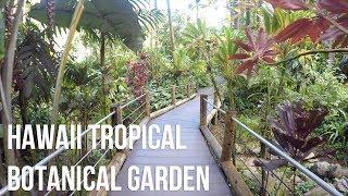 Hawaii Tropical Botanical Garden - Virtual Tour