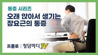 [요통] 오래 앉아서 생기는 장요근의 통증_청담마디신경외과 심재현 원장