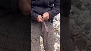 Цветочная выставка в КрокусЭкспо