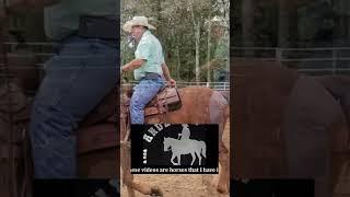 How I keep my horse's attention.