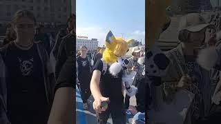 фурри сходка