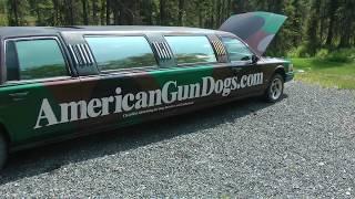 This camouflage limo is going over the Glacier View Car Launch on July 4th!