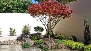 Japanese Garden "Before & After" Vol 2 . Lee's Oriental Landscape Art