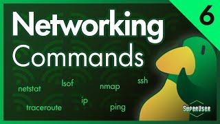 Linux for Programmers #6 | Networking Commands