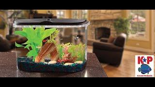 How to Set Up Your 5-Gallon FRESHWATER AQUARIUM