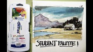 Best Student Watercolor Palette for Beginners - with Chris Petri