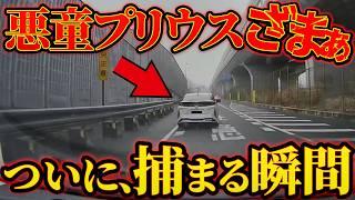 【ドラレコ】ついについについにプリウス捕まる！！ドラレコが記録した驚愕の行動/衝撃の映像【交通安全推進、危険予知トレーニング】