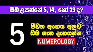 ඔබ උපන්නේ 5, 14 හෝ 23 වැනිදාද? | ජිවන අංකය අනුව ඔබ ගැන | Birthday Numerology Number 5