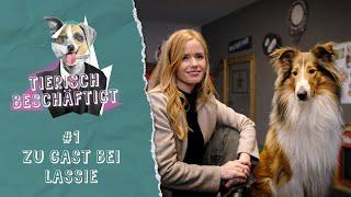 Zu Gast bei Filmstar Lassie & Puffi - Tierisch beschäftigt - S01E01