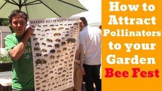 Grow More Vegetables by Attracting Pollinators To Your Garden: Bee Festival
