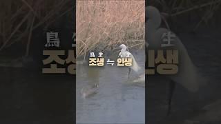 Sometimes Life is...│때로 조생이란 