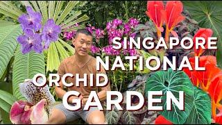 Best Landscaped Garden In The world | DIVERSE Plant Collections of National Orchid Garden Singapore