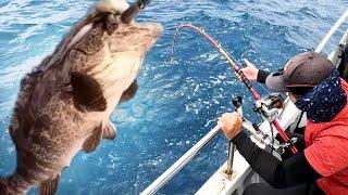 海釣野生石斑魚！活餌章魚釣大物-穩勝166娛樂海釣船