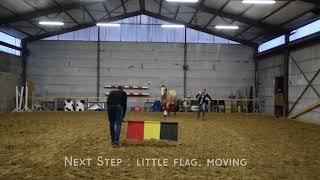 Jump over a moving Flag - Horse