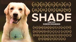 Shade Short Film | The Shade | Shade Short Movie | Short Movie about Pets | Environment Day Movie