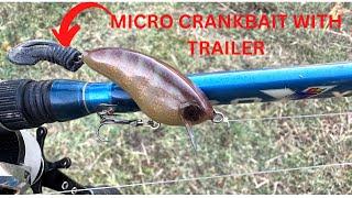 HOW TO MAKE a Micro Crankbait From a BLOCK Of WOOD!!