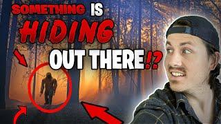 5 STRANGEST disappearances in forests | The Missing 411 phenomenon