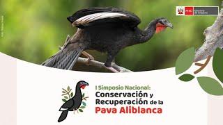 Chiclayo | Primer Simposio Nacional de conservación y recuperación de la Pava Aliblanca en el Perú