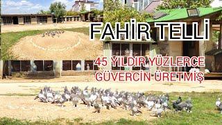 FAHİR TELLİYİ ZİYARET ETTİM KİMSENİN GİDEMEDİĞİ YERDEYİZ.GUVERCİN DÜNYASI RESMEN