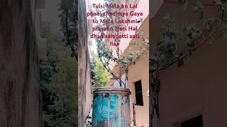 Tulsi Mata ko Lal phool chadhate to Mata Lakshmi prasann hoti hai