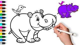 How to draw a hippo  Painting and Coloring for Kids & Toddlers