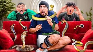 Found a Snake in our New Couch!  (Mystery Prize for my Kids)