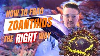 How to frag Zoanthids the RIGHT way ft. Stratosphere "Strat" zoas