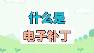 什么是电子补丁？【江湖百晓生呀】