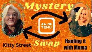 TEMU // WHAT DID I GET? // MYSTERY SWAP WITH HAULING IT WITH MEMA! 