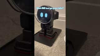 Unboxing Rux robot - #robot #robot #rux #unboxing #shorts | @LetianpaiGlobal