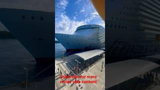 Wonder of the seas is massive! #viral #shortvideo #viralvideo #shorts #short #youtubeshorts #fyp