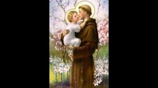 Chaplet of St. Anthony of Padua
