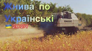 ‼️Село‼️Жнива і повна срака))Соя 2024‼️