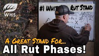 Choosing A Great Whitetail Rut Stand