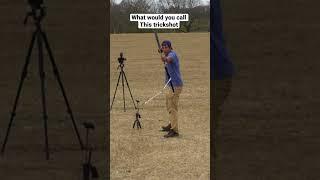 Incoming robinhood archery trickshot #trickshotting # sports