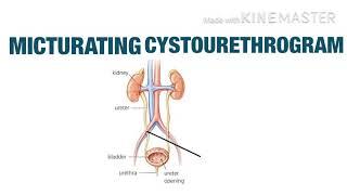 MICTURATING URETHROCYSTOGRAM