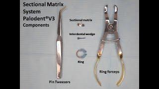 Placement of Sectional Matrix System Poladent® V3