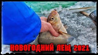 Безумная Ловля Леща на реке Тобол. Клюет подряд! Поймал 123 штуки!!!