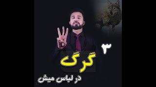 سه گرگ در لباس میش