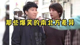 那些爆笑的南北方差异，没有对比就没有伤害，青菜到底是什么菜
