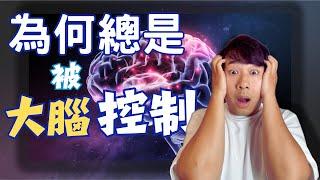 為何總是被大腦控制 ｜改變信念系統｜ 創造想要的人生