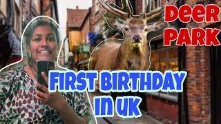 Celebrating my First birthday in foreign country|Lets explore retro cities of UK|Walk with deers