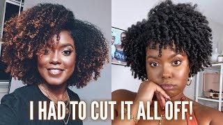 Hair Color Horror Story + I Big Chopped...AGAIN! | Part 1