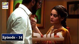 Hassad Episode 14 | Minal Khan | ARY Digital Drama