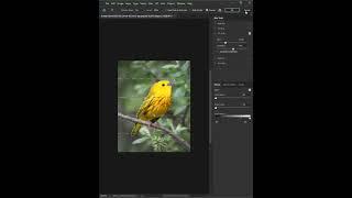 Blur background in photo with Photoshop #shorts #photoshop