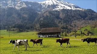 Frühling in Nidwalden